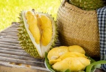 Những thực phẩm không nên ăn cùng với sầu riêng