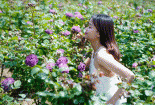 Lễ hội hoa hồng lớn nhất Tây Bắc sắp diễn ra tại Sun World Fansipan Legend 