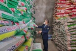 Xử phạt nhiều cơ sở buôn bán phân bón giả, kém chất lượng