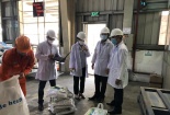 Bình Định: 4/40 cơ sở kinh doanh hàng đóng gói sẵn không đạt yêu cầu kỹ thuật đo lường