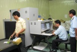 Vi phạm buôn lậu, gian lận thương mại và hàng giả giảm mạnh 