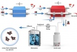 Phương pháp biến CO2 thành thức ăn và thuốc
