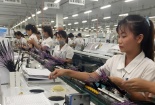 Tuyên Quang: Đưa năng suất, chất lượng trở thành động lực phát triển 