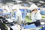 Chính phủ gia hạn thời hạn nộp tiền thuê đất, tiền thuế năm 2022
