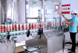 Doanh nghiệp bứt phá trong sản xuất nhờ áp dụng công cụ 5S, Kaizen