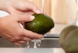 Bảo quản, sử dụng quả bơ sai cách có thể khiến vi khuẩn sinh sôi