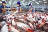 Doanh nghiệp thủy sản không ngừng nâng cao chất lượng, tiến sâu vào thị trường Trung Quốc
