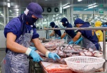 Triển khai chương trình hỗ trợ doanh nghiệp nâng cao năng suất, chất lượng sản phẩm hàng hoá