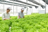 Phê duyệt Đề án kinh tế tuần hoàn hướng tới phát triển bền vững 