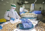 5 tháng đầu năm, tổng trị giá xuất nhập khẩu hàng hoá của Việt Nam đạt 306,14 tỷ USD, tăng 16%