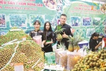 Nông sản Việt thúc đẩy phát triển thị trường trong nước, nâng cao chất lượng 