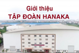 Công ty CP Tập đoàn Hanaka bị xử phạt do sai phạm trong phòng cháy chữa cháy