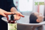 Thu hồi trên toàn quốc lô dầu gội trị chấy Medy do không đạt tiêu chuẩn chất lượng