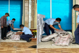 Xử lý cơ sở kinh doanh thực phẩm đông lạnh không có nhãn hiệu hàng hóa