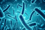 Phát triển loại kháng sinh tổng hợp mới có thể tiêu diệt cả vi khuẩn kháng thuốc