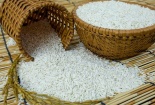 Phát triển thương hiệu gạo An Giang nhờ đảm bảo hệ thống tiêu chuẩn chất lượng
