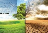 Biến đổi khí hậu ảnh hưởng đến hơn 74% dân số Việt Nam