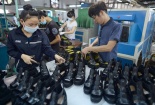 Ngành da giày: Nâng cao chất lượng các mặt hàng xuất khẩu để tăng sức cạnh tranh