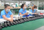 Ngành da giày đáp ứng tiêu chuẩn, tiến sâu vào thị trường EU