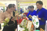 Quảng bá, kết nối cung cầu trái na và nông sản Lạng Sơn đến người dân Hà Nội