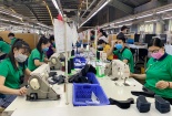 Nhiều doanh nghiệp chỉ tăng trưởng nhờ quy mô, không dựa trên năng suất