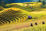 Hội nghị về phát triển Trung du và miền núi Bắc Bộ - Mở ra cơ hội mới cho vùng đất ‘phên dậu’
