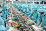 HACCP/TCVN 5603:2008 - nền tảng vững chắc cho doanh nghiệp sản xuất thực phẩm