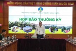 Lợn chết sau tiêm vaccine dịch tả - do tiêm không đúng quy trình