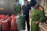 Hà Tĩnh: Chặn đứng 2 tấn mỡ động vật bẩn, không rõ nguồn gốc