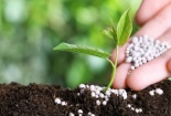 Không gia hạn biện pháp tự vệ với phân bón nhập khẩu