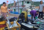Tập trung nguồn lực, quyết liệt triển khai gỡ cảnh báo thẻ vàng IUU của EC