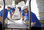 Bảo đảm hiệu quả công tác điều hành xuất khẩu gạo, ổn định thị trường và lợi ích người dân