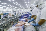 Giá cá tra đông lạnh Việt Nam nhập khẩu vào Mỹ tăng 56%