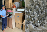 Phát hiện 205 sản phẩm thiết bị vệ sinh giả mạo nhãn hiệu 