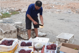 Tiêu chuẩn đánh giá thực phẩm sạch, chứng nhận sản phẩm nhập khẩu an toàn