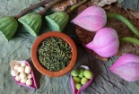 Thuốc thành phần từ thảo dược trị mất ngủ: Lợi bất cập hại
