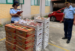 Người tiêu dùng cần thận trọng khi mua hoa quả tươi, tránh hàng nhập lậu và không rõ nguồn gốc