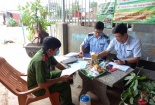 Đắk Nông phát hiện nhiều vi phạm trong kinh doanh thuốc bảo vệ thực vật