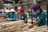 Áp thuế chống bán phá giá tạm thời 35% với bàn gỗ nhập khẩu từ Trung Quốc 
