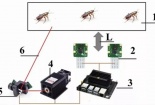 Phát minh mới: Vũ khí laser điều khiển bằng AI để tiêu diệt gián