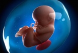 Ô nhiễm không khí có thể ảnh hưởng xấu đến não và phổi của thai nhi