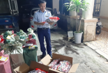 Cẩn trọng chân gà, chân vịt nhập lậu, tiềm ẩn hóa chất độc hại