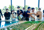 NovaWorld Ho Tram: Hấp lực từ chuỗi tiện ích đa trải nghiệm