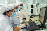 Chấp nhận rủi ro trong nghiên cứu khoa học theo thông lệ và chuẩn mực quốc tế