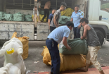 Hải Dương phát hiện hàng chục tấn quần áo không rõ xuất xứ 
