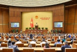 Chính phủ trình Quốc hội dự thảo Nghị quyết về thí điểm cấp quyền lựa chọn sử dụng biển số ô tô thông qua đấu giá