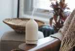 Lưu ý khi sử dụng tinh dầu đuổi muỗi để không gây ngộ độc 