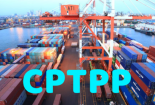 Đòn bẩy CPTPP giúp tăng cường xuất khẩu sang thị trường châu Mỹ