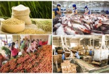 Xuất khẩu nông lâm thủy sản đạt gần 45 tỷ USD trong 10 tháng