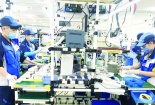 Phú Yên: Hỗ trợ xây dựng doanh nghiệp khoa học công nghệ, đổi mới sáng tạo